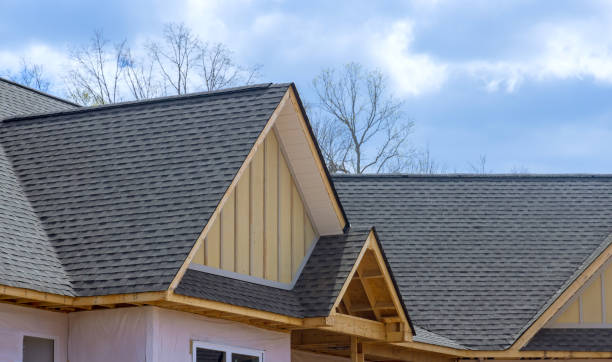 Roof Insulation in Bensley, VA